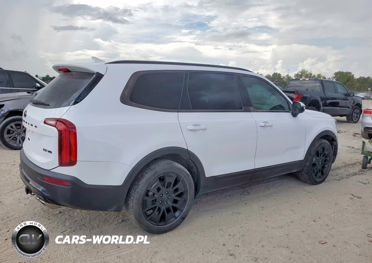 2021 Kia Telluride Ex VIN:5XYP3DHC6MG189684 - 3