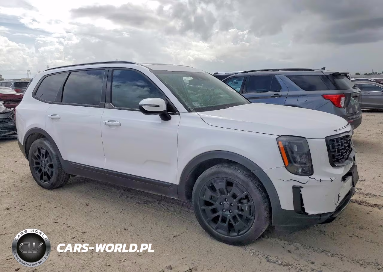 2021 Kia Telluride Ex VIN:5XYP3DHC6MG189684 - 4