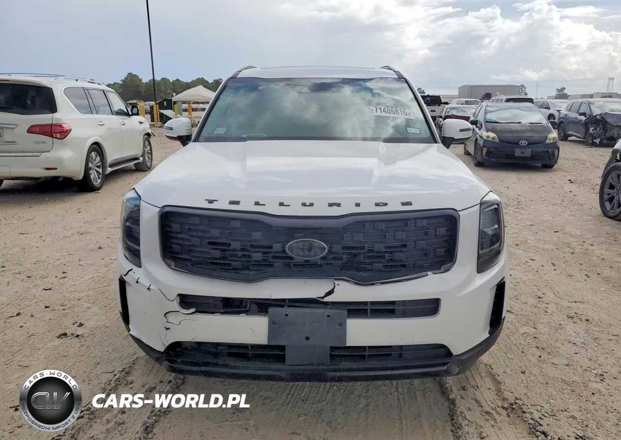 2021 Kia Telluride Ex VIN:5XYP3DHC6MG189684 - 5