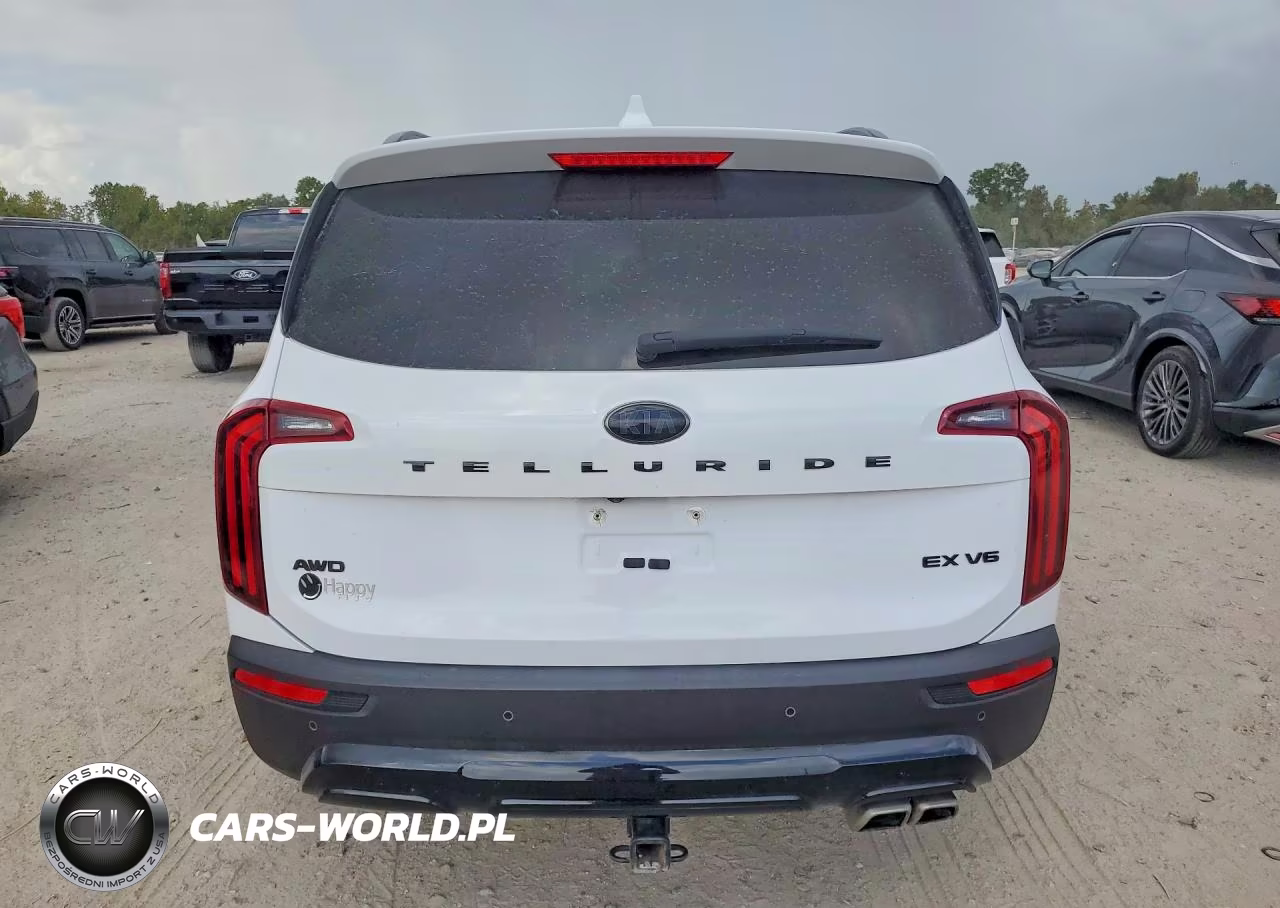 2021 Kia Telluride Ex VIN:5XYP3DHC6MG189684 - 6