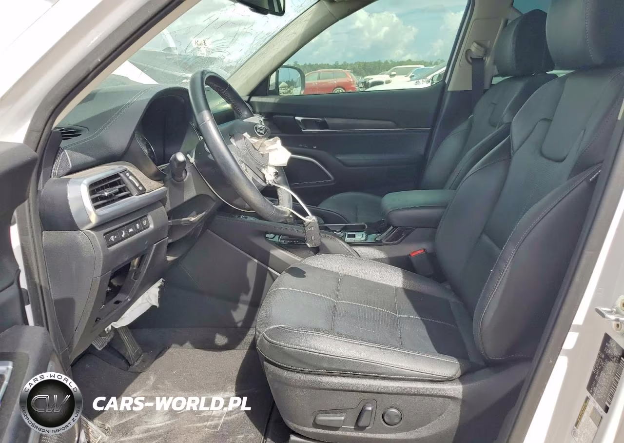 2021 Kia Telluride Ex VIN:5XYP3DHC6MG189684 - 7