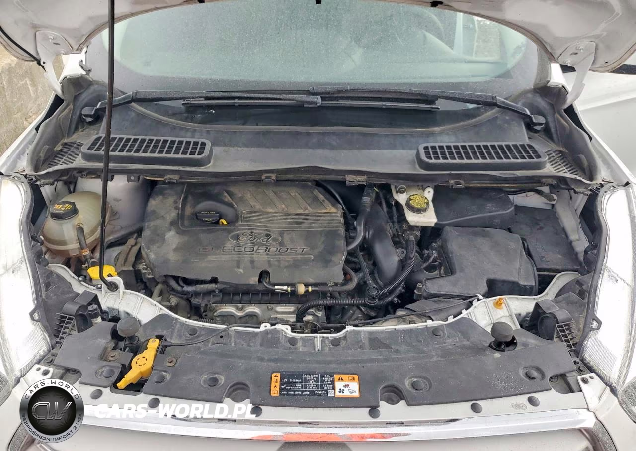 2019 Ford Escape Se VIN:1FMCU9GD0KUA65453 - 12