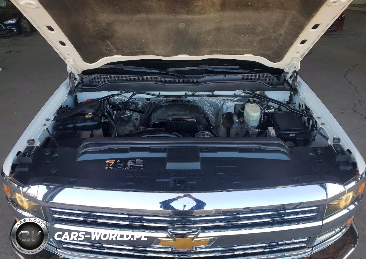 2017 Chevrolet Silverado C2500 Heavy Duty VIN:1GC2CUEG7HZ231577 - 11
