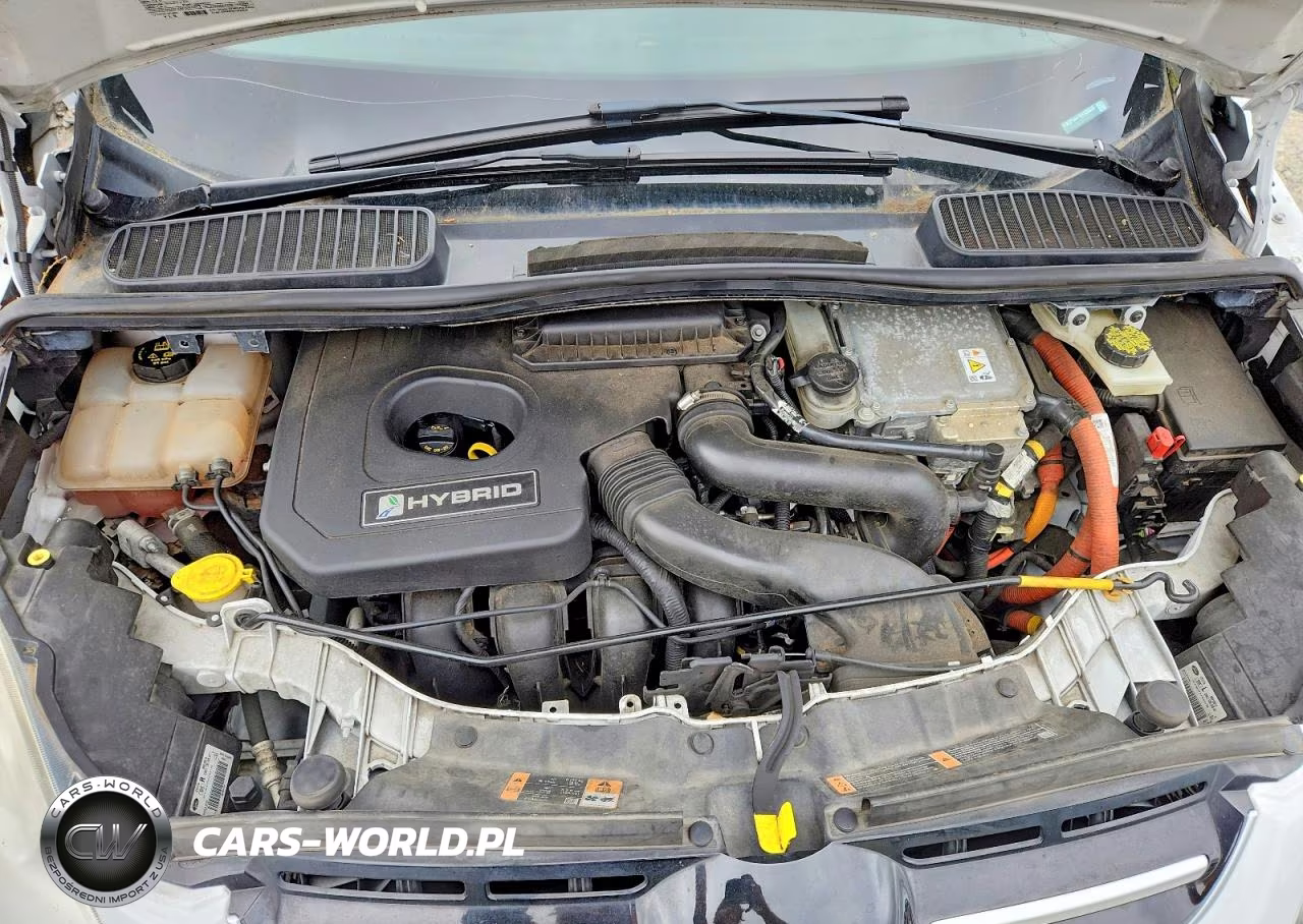 2014 Ford C-Max Se VIN:1FADP5AUXEL520035 - 12