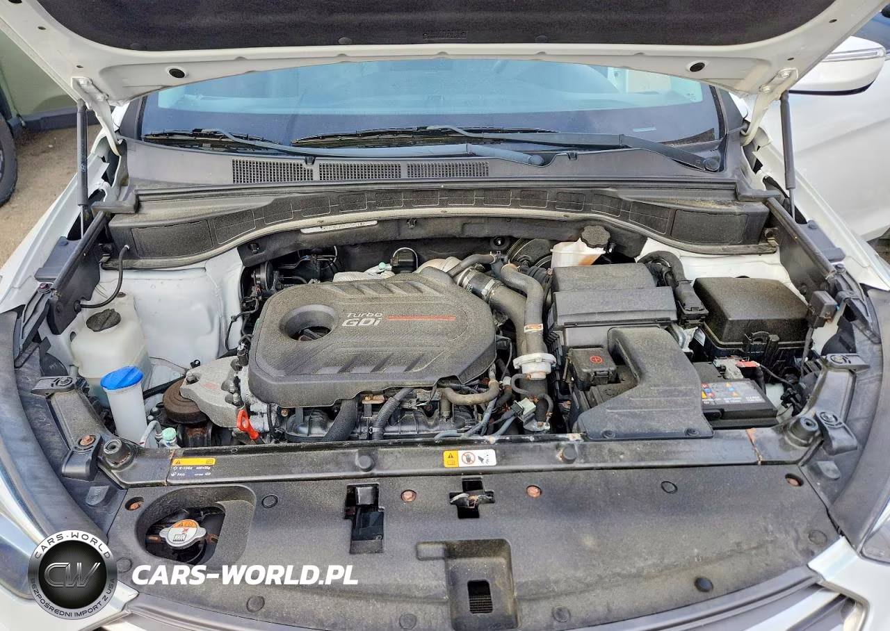 2017 Hyundai Santa Fe Sport 2.0T VIN:5XYZUDLA7HG501187 - 12