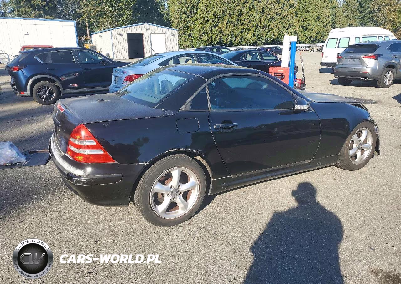 2001 Mercedes-Benz Slk 320 VIN:WDBKK65F71F194509 - 3