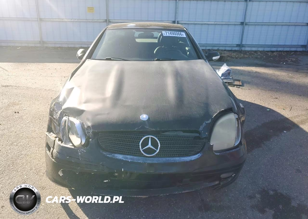 2001 Mercedes-Benz Slk 320 VIN:WDBKK65F71F194509 - 5