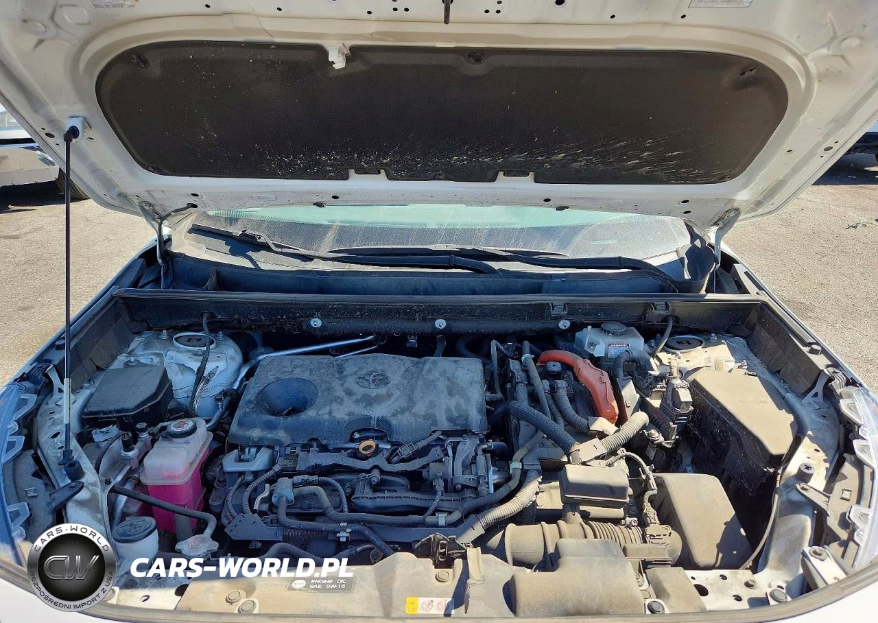 2019 Toyota Rav4 Hybrid Xle VIN:2T3RWRFV7KW030012 - 12