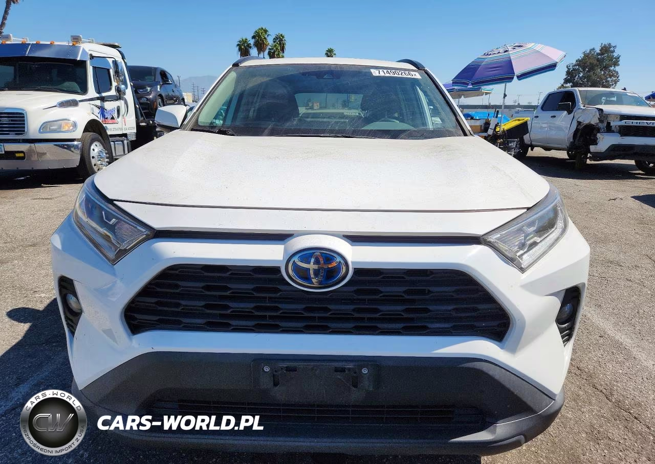 2019 Toyota Rav4 Hybrid Xle VIN:2T3RWRFV7KW030012 - 5