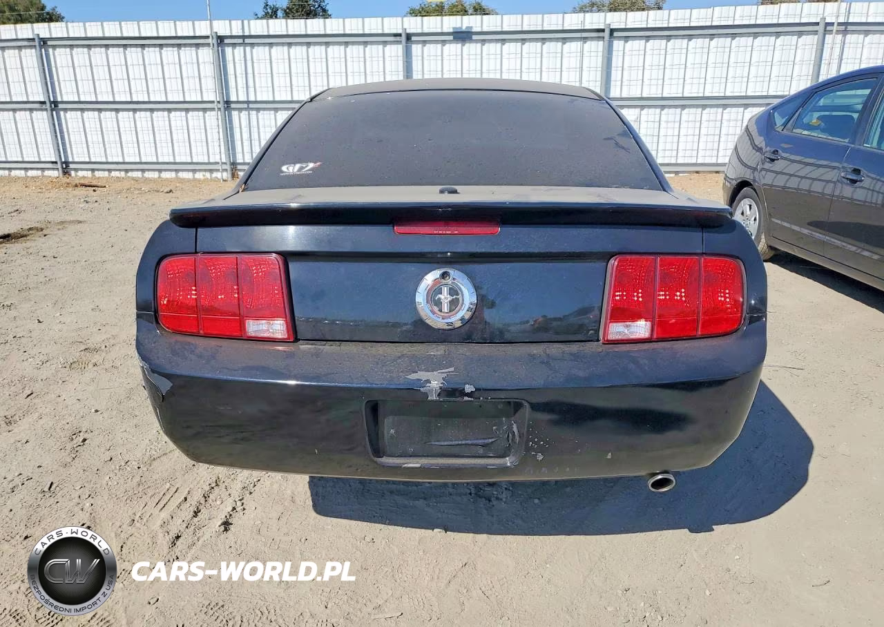 2007 Ford Mustang VIN:1ZVHT80N875367162 - 6
