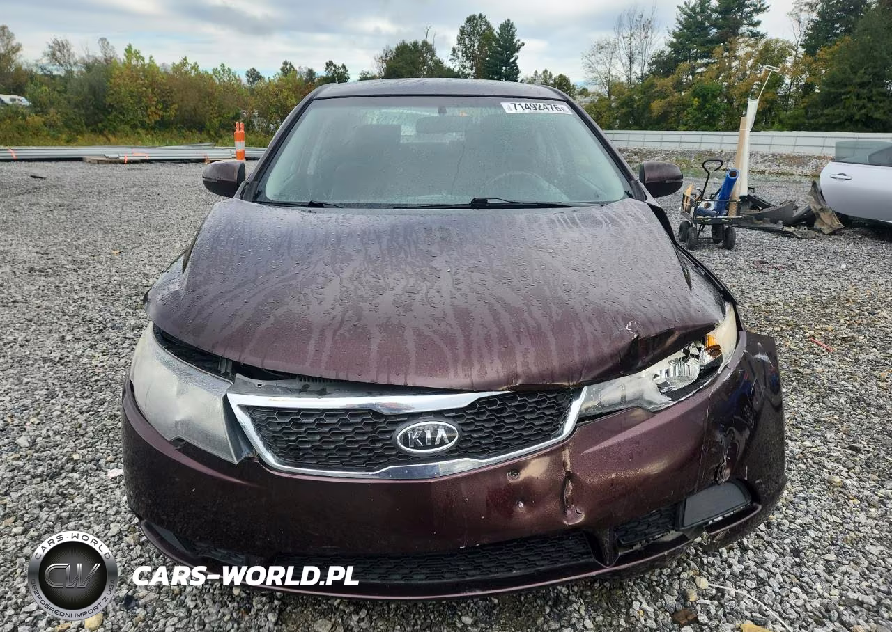 2011 Kia Forte Ex VIN:KNAFU4A24B5891760 - 5