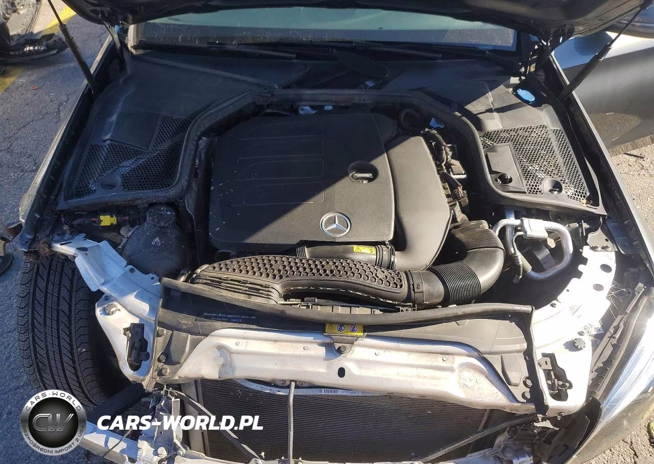 2019 Mercedes-Benz C 300 VIN:55SWF8DB2KU311161 - 11
