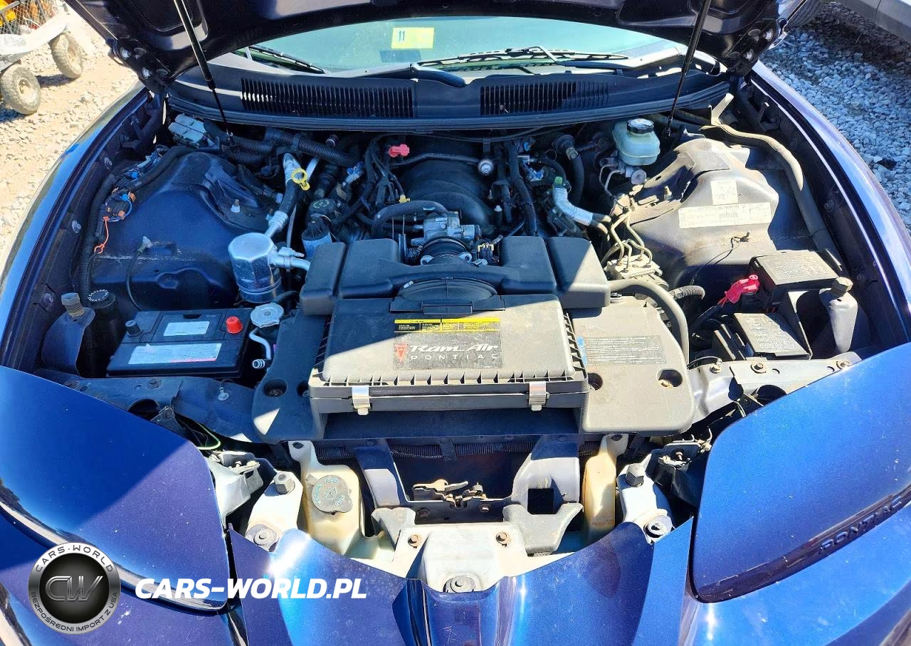 2000 Pontiac Firebird Formula VIN:2G2FV22G8Y2121648 - 11