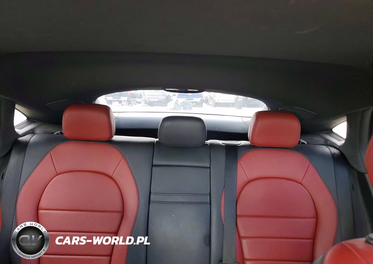 2018 Mercedes-Benz Glc Coupe 300 4Matic VIN:WDC0J4KBXJF431389 - 10
