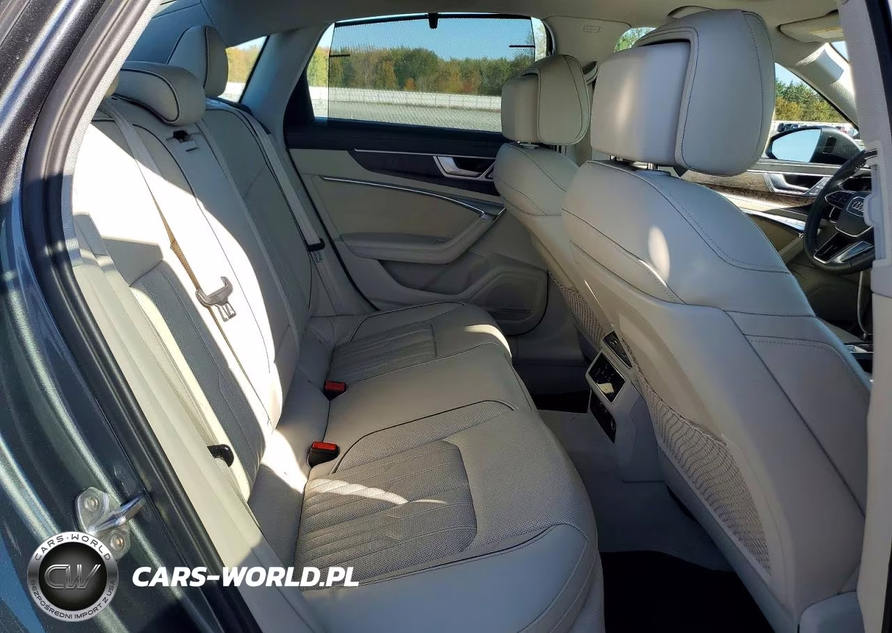 2019 Audi A6 Prestige VIN:WAUM2AF24KN096146 - 10