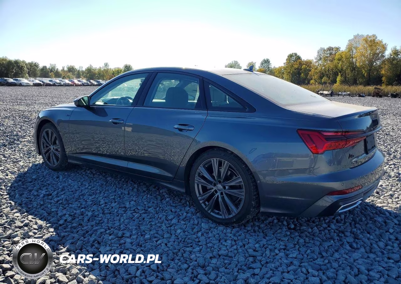 2019 Audi A6 Prestige VIN:WAUM2AF24KN096146 - 2