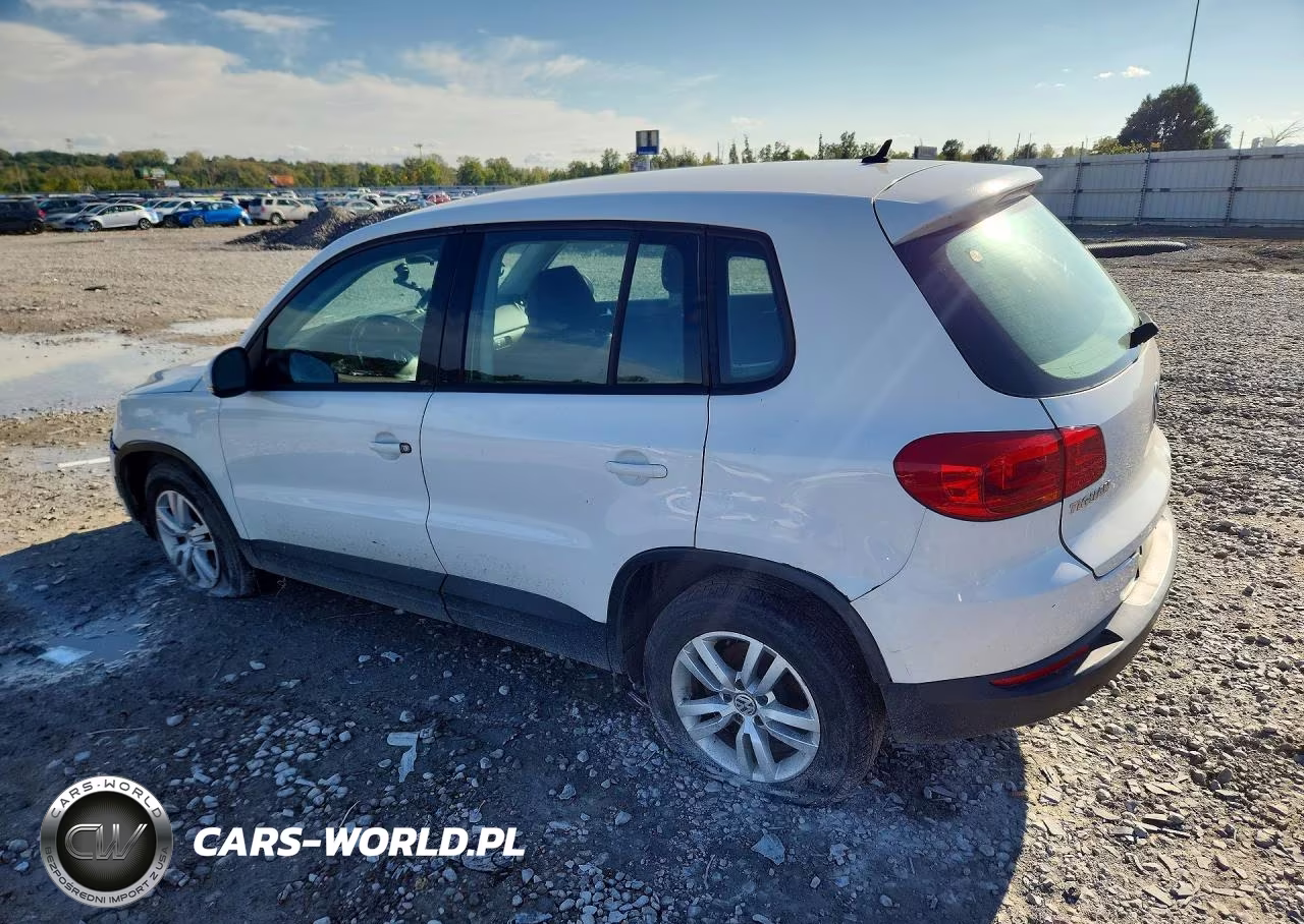 2013 Volkswagen Tiguan S VIN:WVGBV7AX7DW535453 - 2