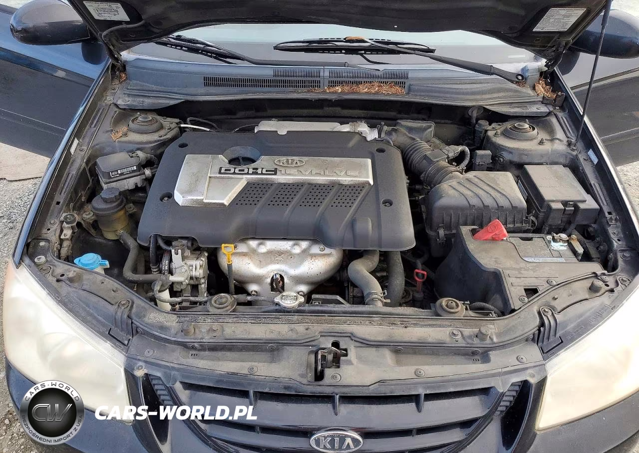 2004 Kia Spectra Lx VIN:KNAFE122445052608 - 11