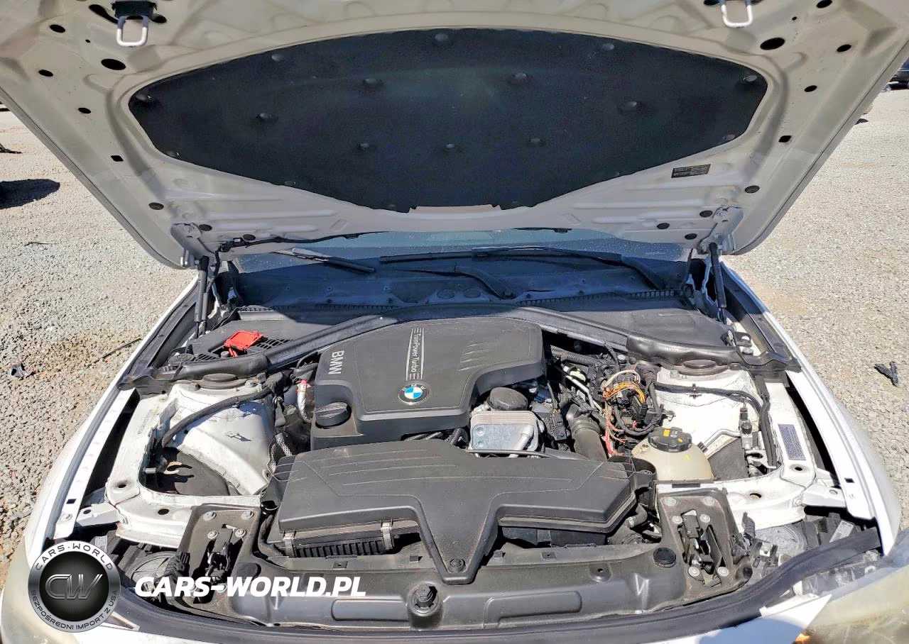 2014 BMW 320 I VIN:WBA3B1C5XEP680683 - 11