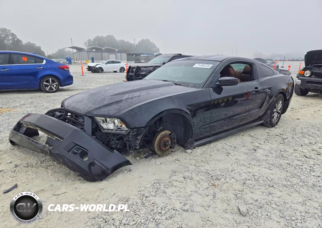 2011 Ford Mustang VIN:1ZVBP8AM4B5155643 - 1