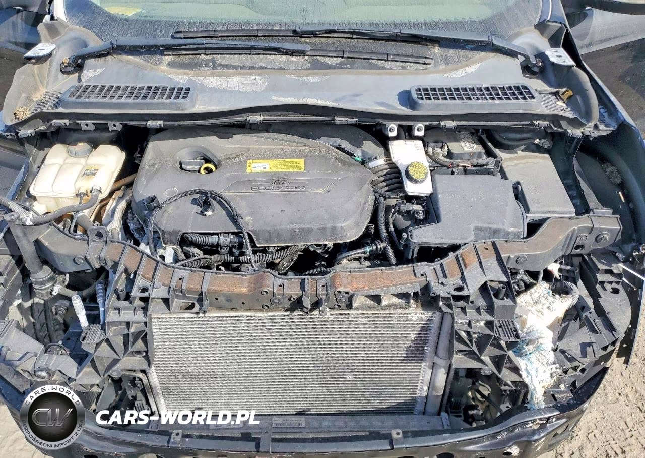 2013 Ford Escape Sel VIN:1FMCU0HX4DUA73563 - 12