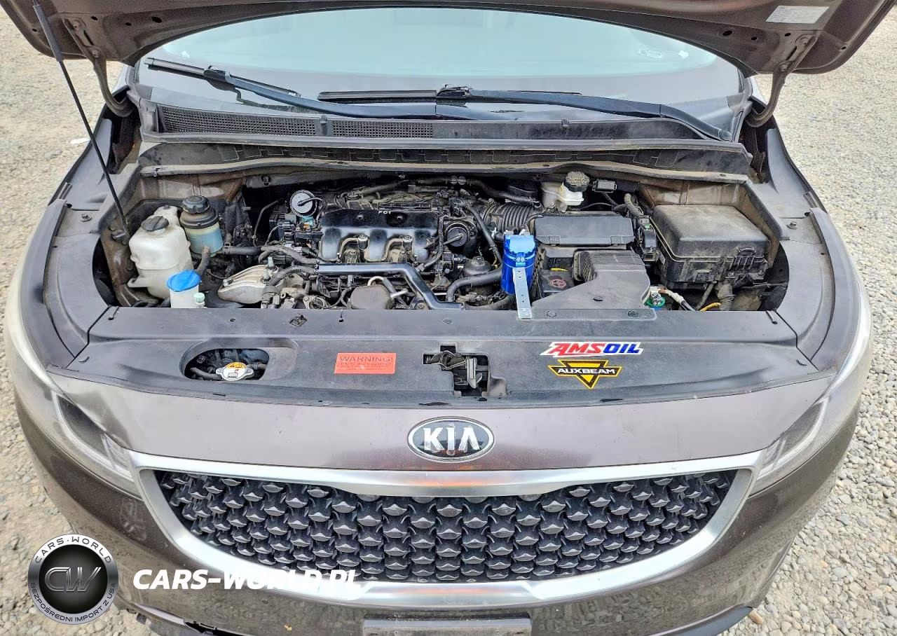 2017 Kia Sedona Lx VIN:KNDMB5C14H6251965 - 12