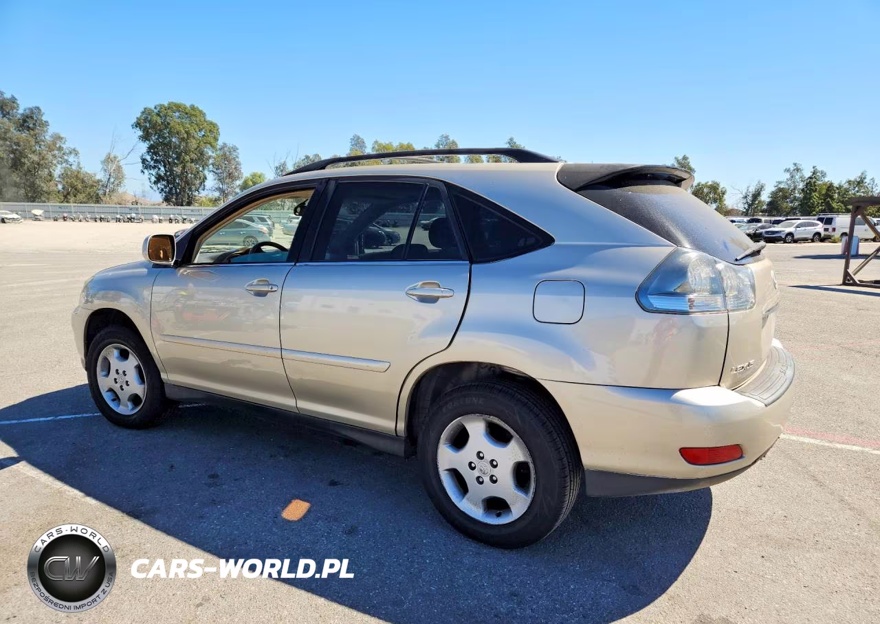 2004 Lexus Rx 330 VIN:JTJGA31U740029724 - 2