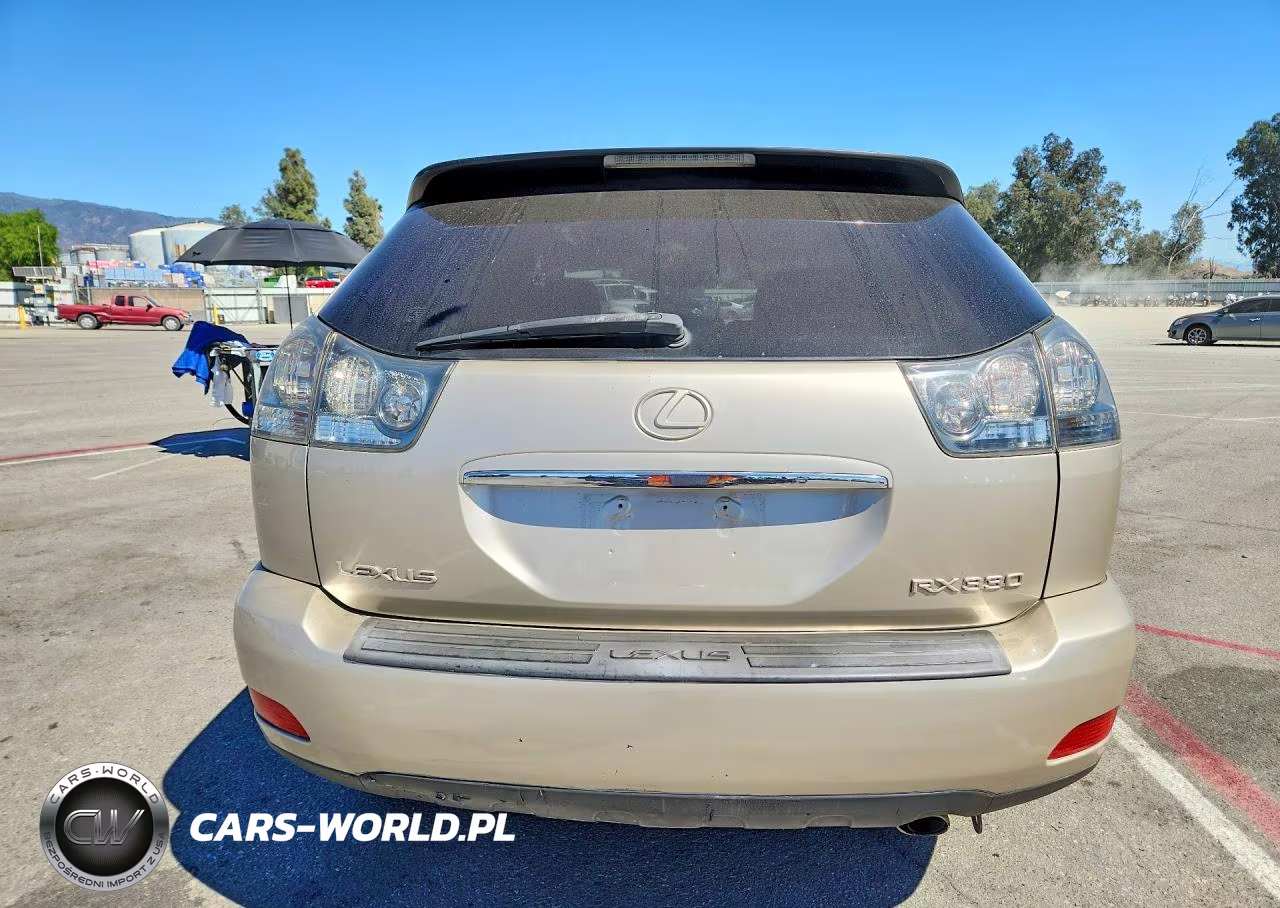 2004 Lexus Rx 330 VIN:JTJGA31U740029724 - 6