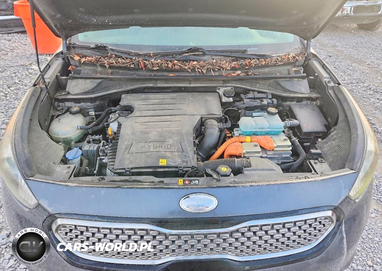 2019 Kia Niro S Touring VIN:KNDCC3LC2K5222847 - 12