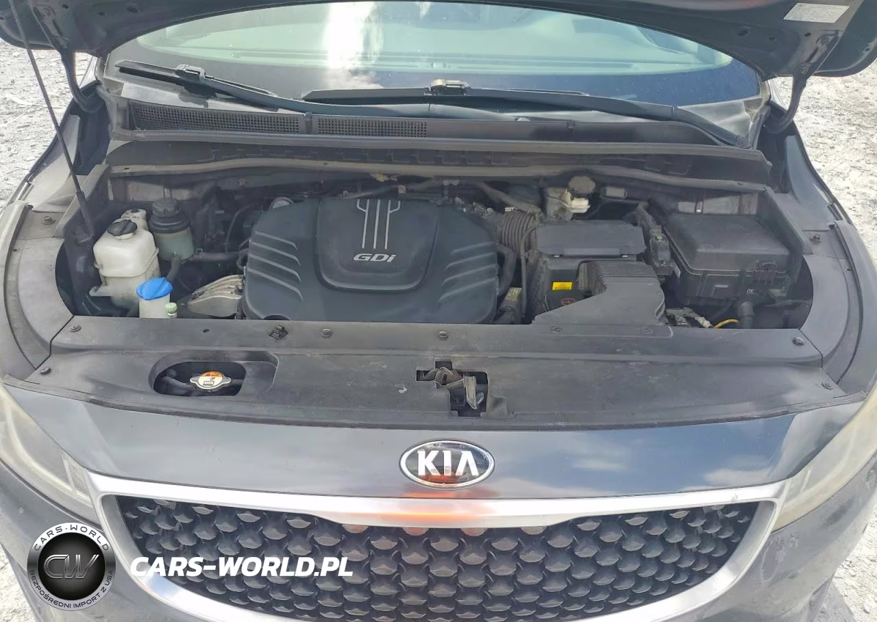 2017 Kia Sedona Lx VIN:KNDMB5C10H6241109 - 12
