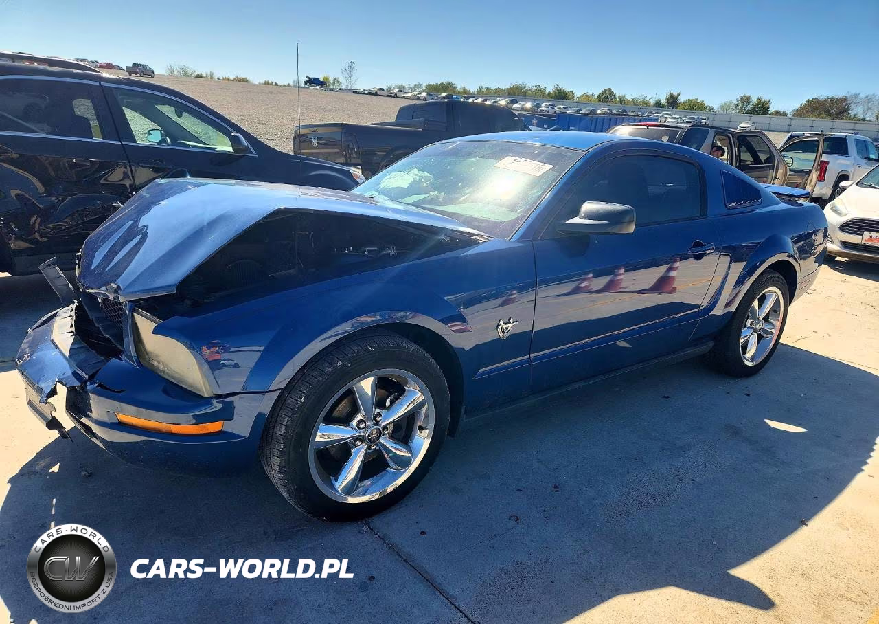 2009 Ford Mustang VIN:1ZVHT80N295116334 - 1