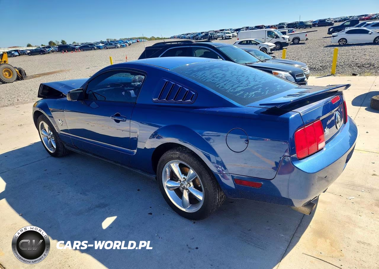 2009 Ford Mustang VIN:1ZVHT80N295116334 - 2