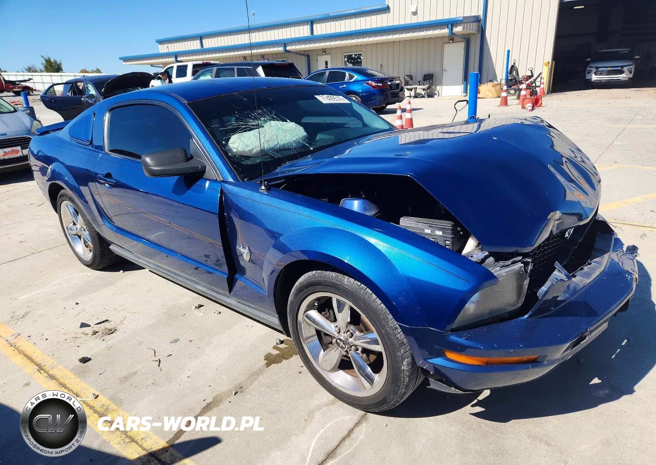2009 Ford Mustang VIN:1ZVHT80N295116334 - 4