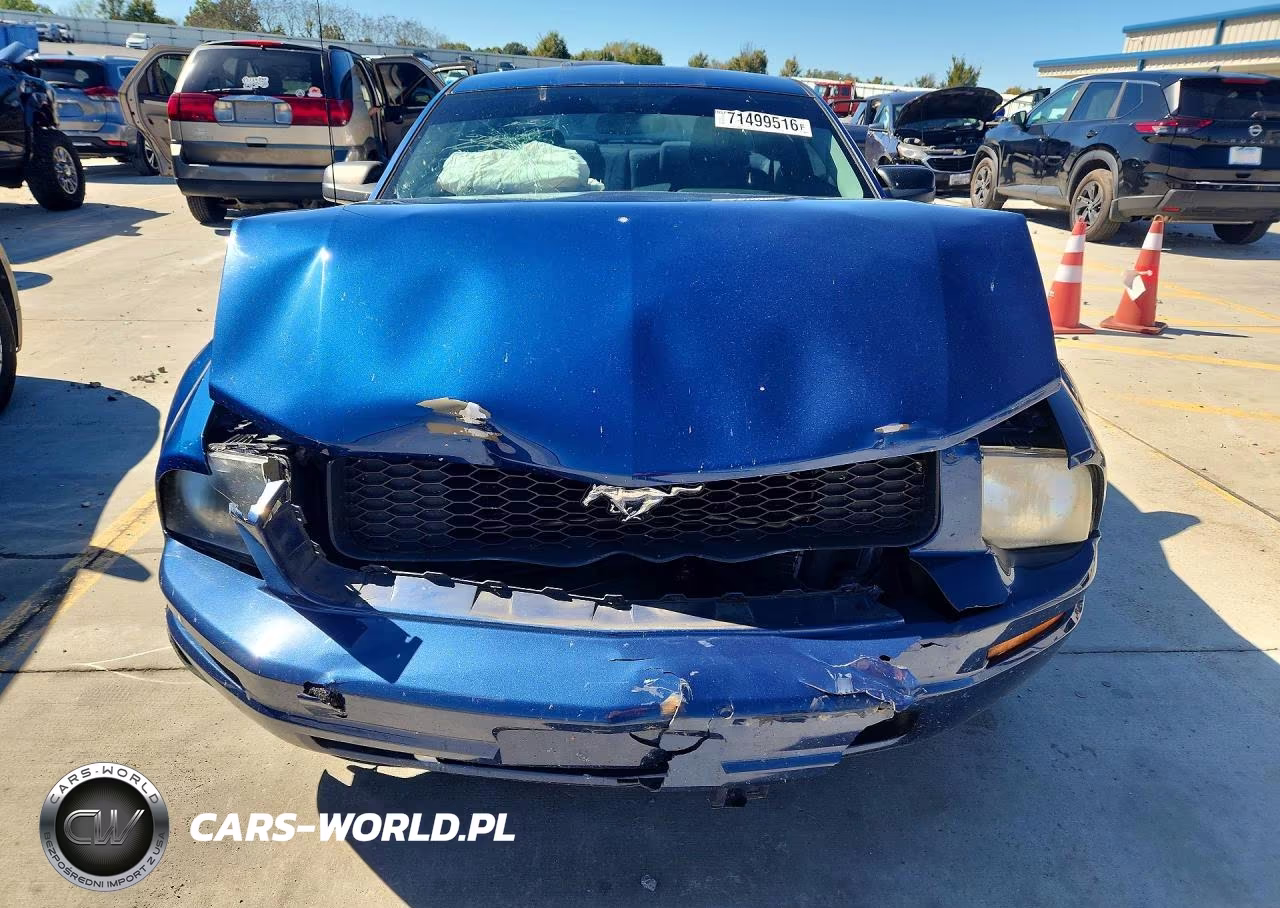 2009 Ford Mustang VIN:1ZVHT80N295116334 - 5