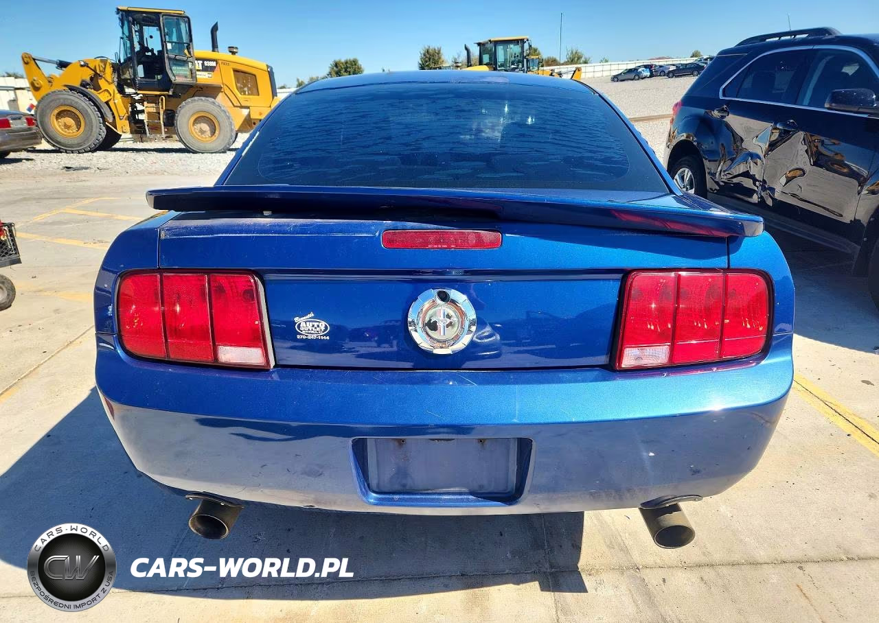 2009 Ford Mustang VIN:1ZVHT80N295116334 - 6