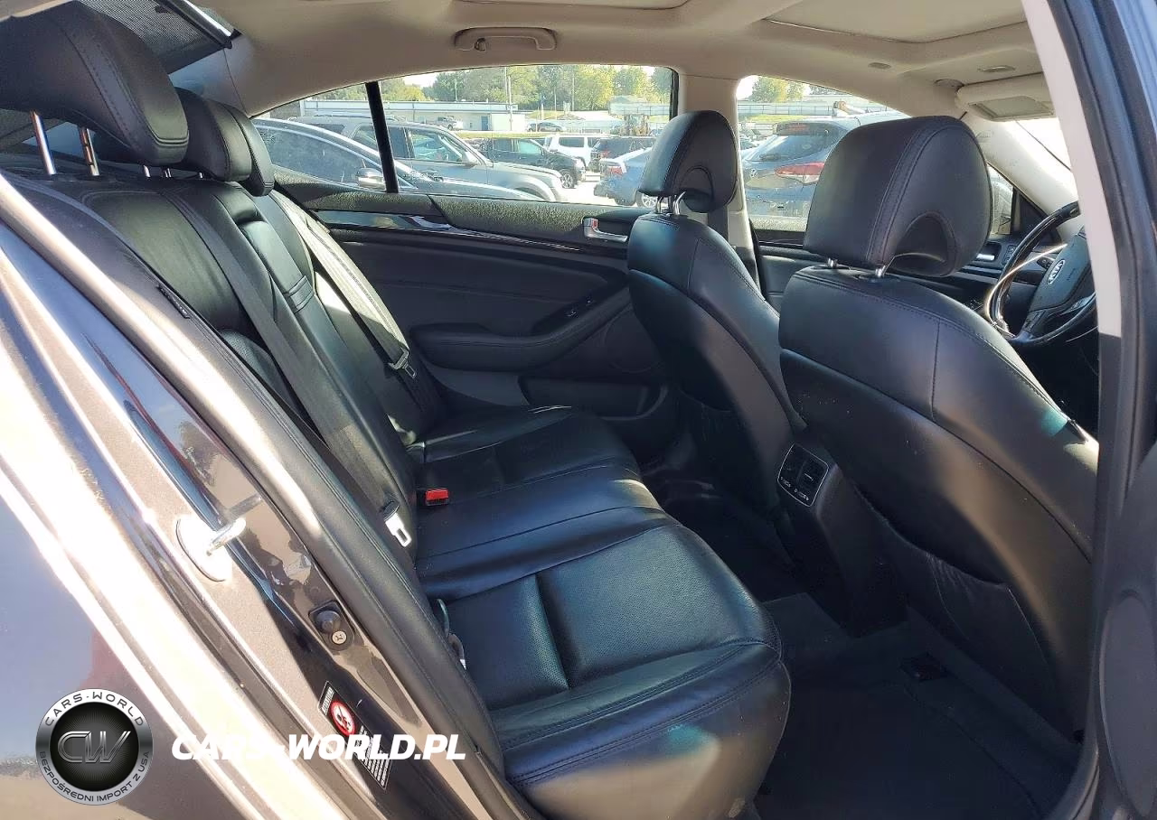 2014 Kia Cadenza Premium VIN:KNALN4D78E5131732 - 10
