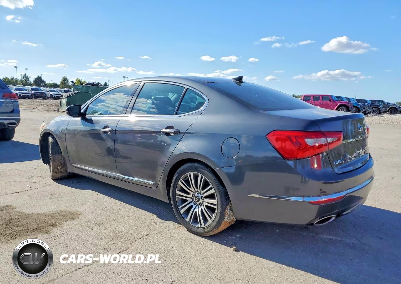 2014 Kia Cadenza Premium VIN:KNALN4D78E5131732 - 2
