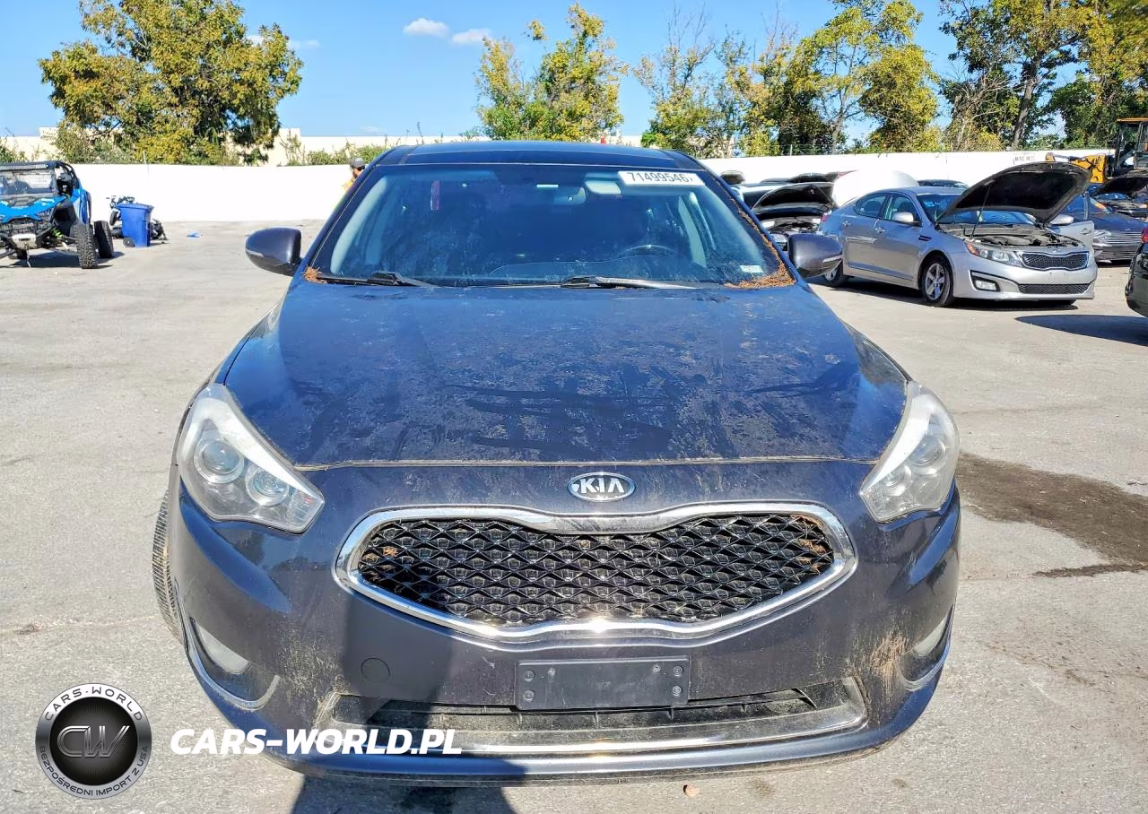 2014 Kia Cadenza Premium VIN:KNALN4D78E5131732 - 5