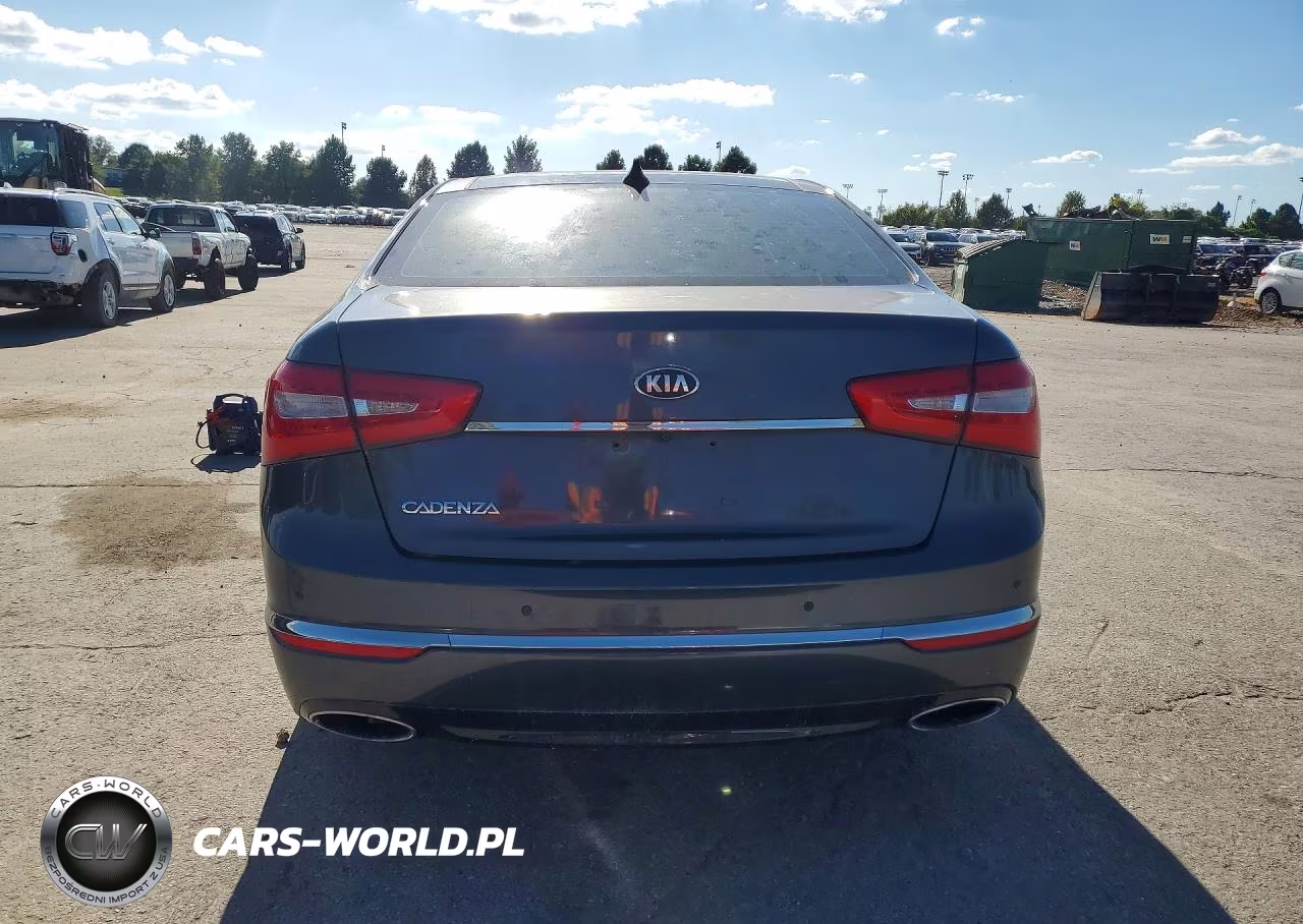 2014 Kia Cadenza Premium VIN:KNALN4D78E5131732 - 6