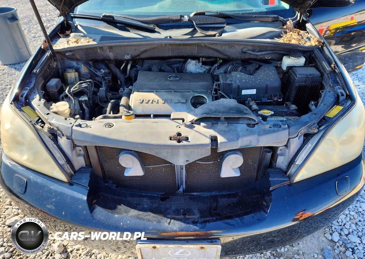 2006 Lexus Rx 330 VIN:2T2HA31U56C097029 - 12