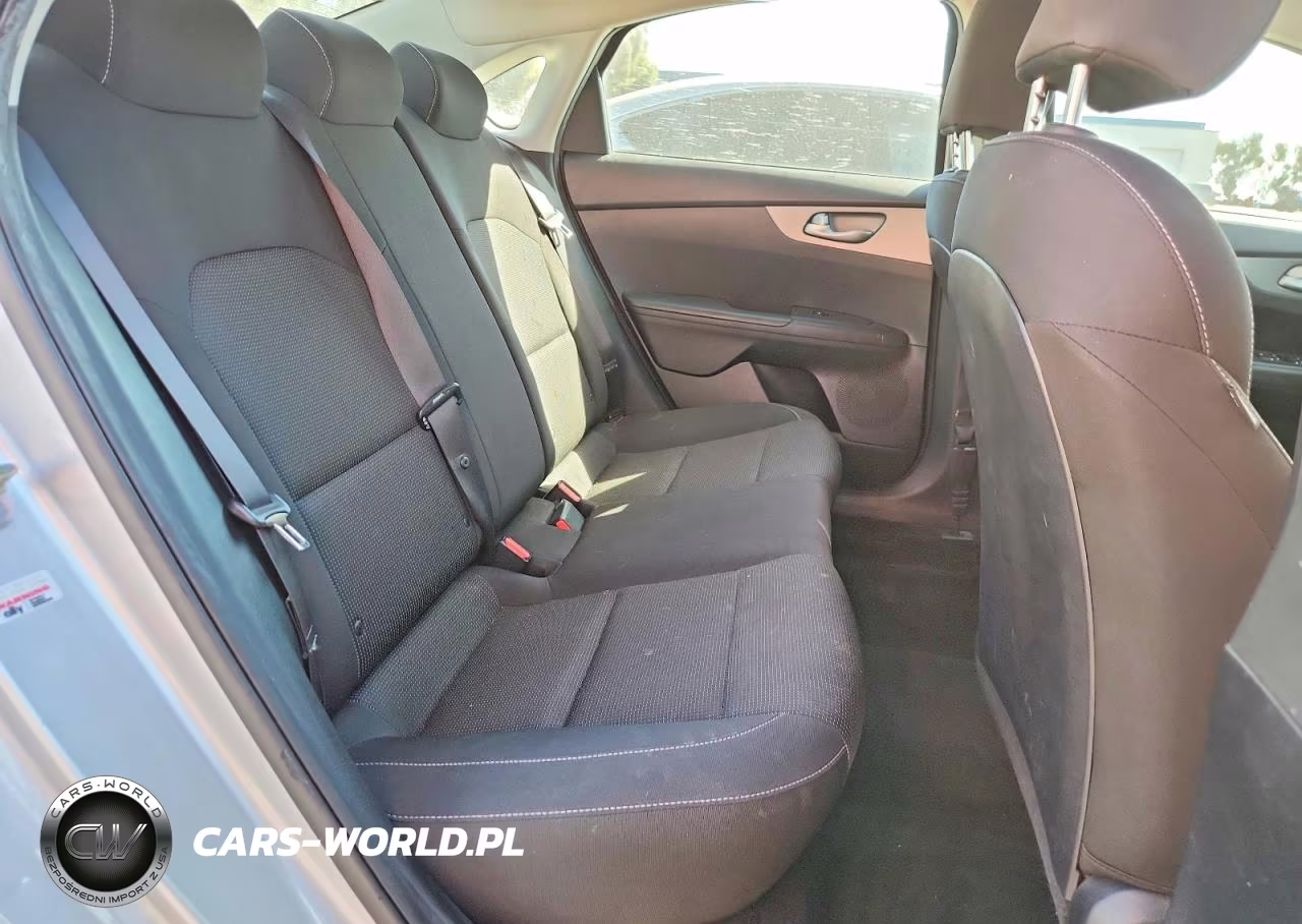 2019 Kia Forte Lxs VIN:3KPF24ADXKE115938 - 10