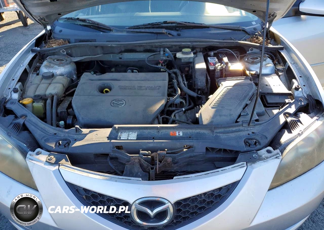 2009 Mazda 3 I VIN:JM1BK32GX91236998 - 11