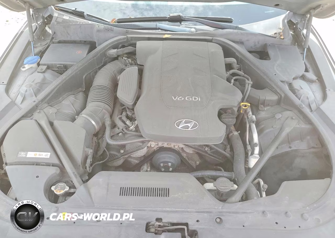 2016 Hyundai Genesis 3.8L VIN:KMHGN4JEXGU117083 - 11