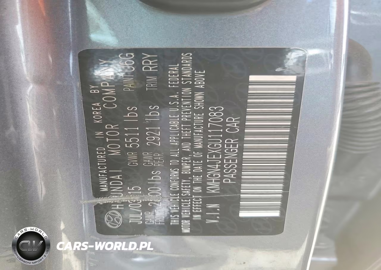 2016 Hyundai Genesis 3.8L VIN:KMHGN4JEXGU117083 - 12