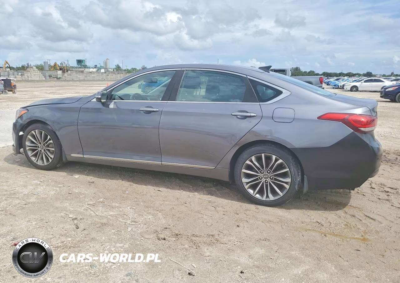 2016 Hyundai Genesis 3.8L VIN:KMHGN4JEXGU117083 - 2