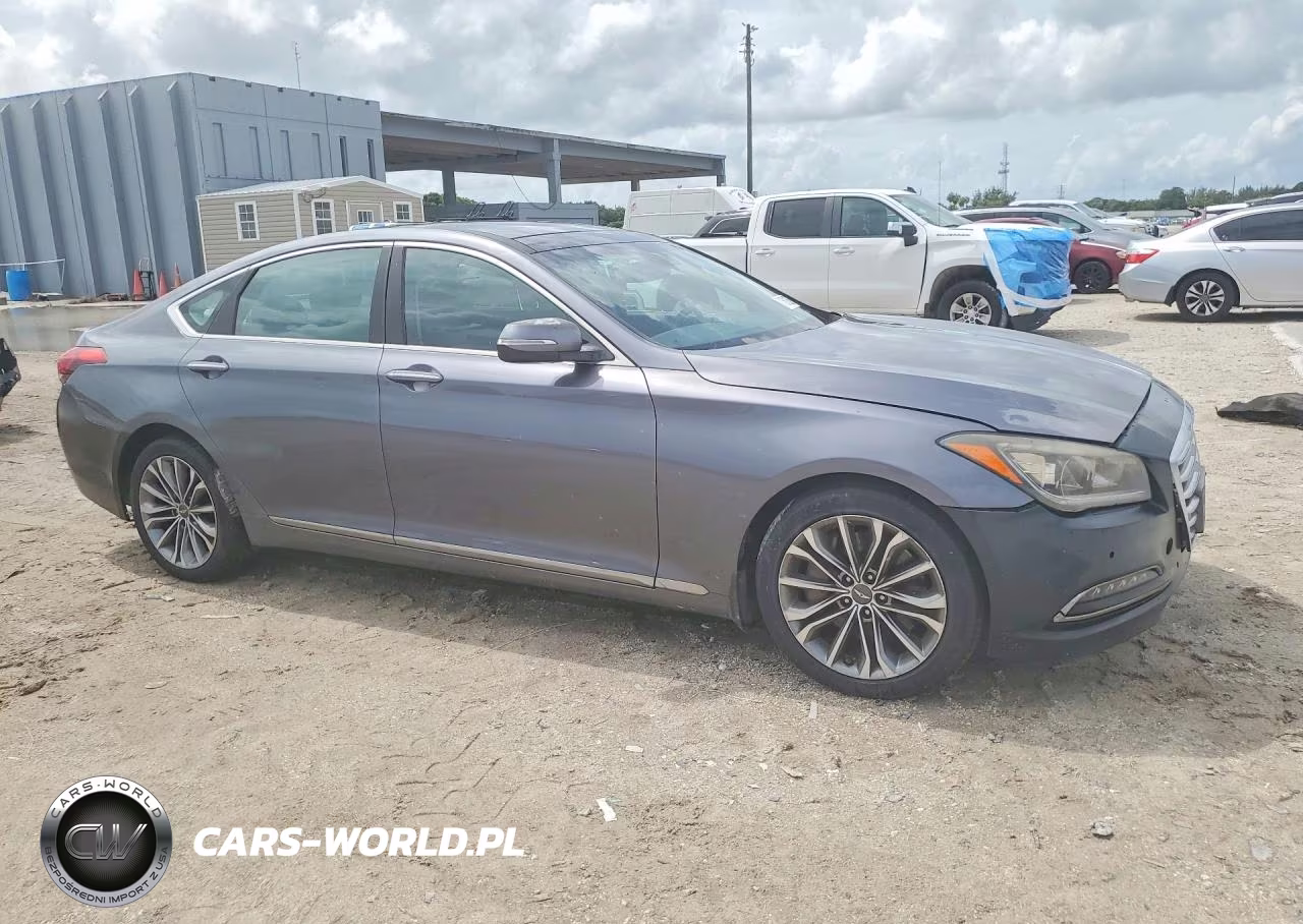 2016 Hyundai Genesis 3.8L VIN:KMHGN4JEXGU117083 - 4