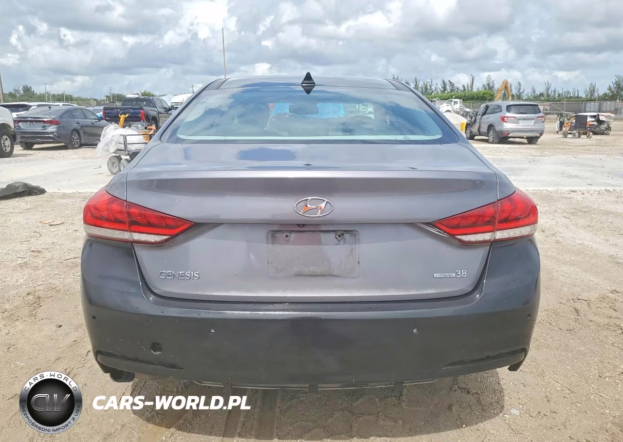 2016 Hyundai Genesis 3.8L VIN:KMHGN4JEXGU117083 - 6