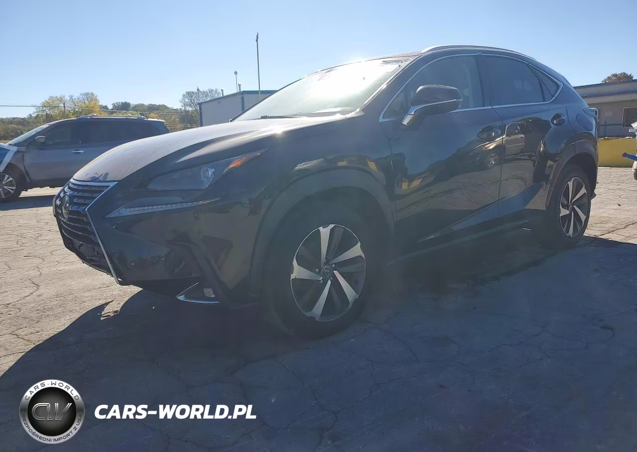 2018 Lexus Nx 300 Base VIN:JTJBARBZ7J2151863 - 1