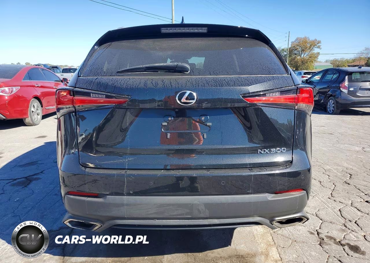 2018 Lexus Nx 300 Base VIN:JTJBARBZ7J2151863 - 6
