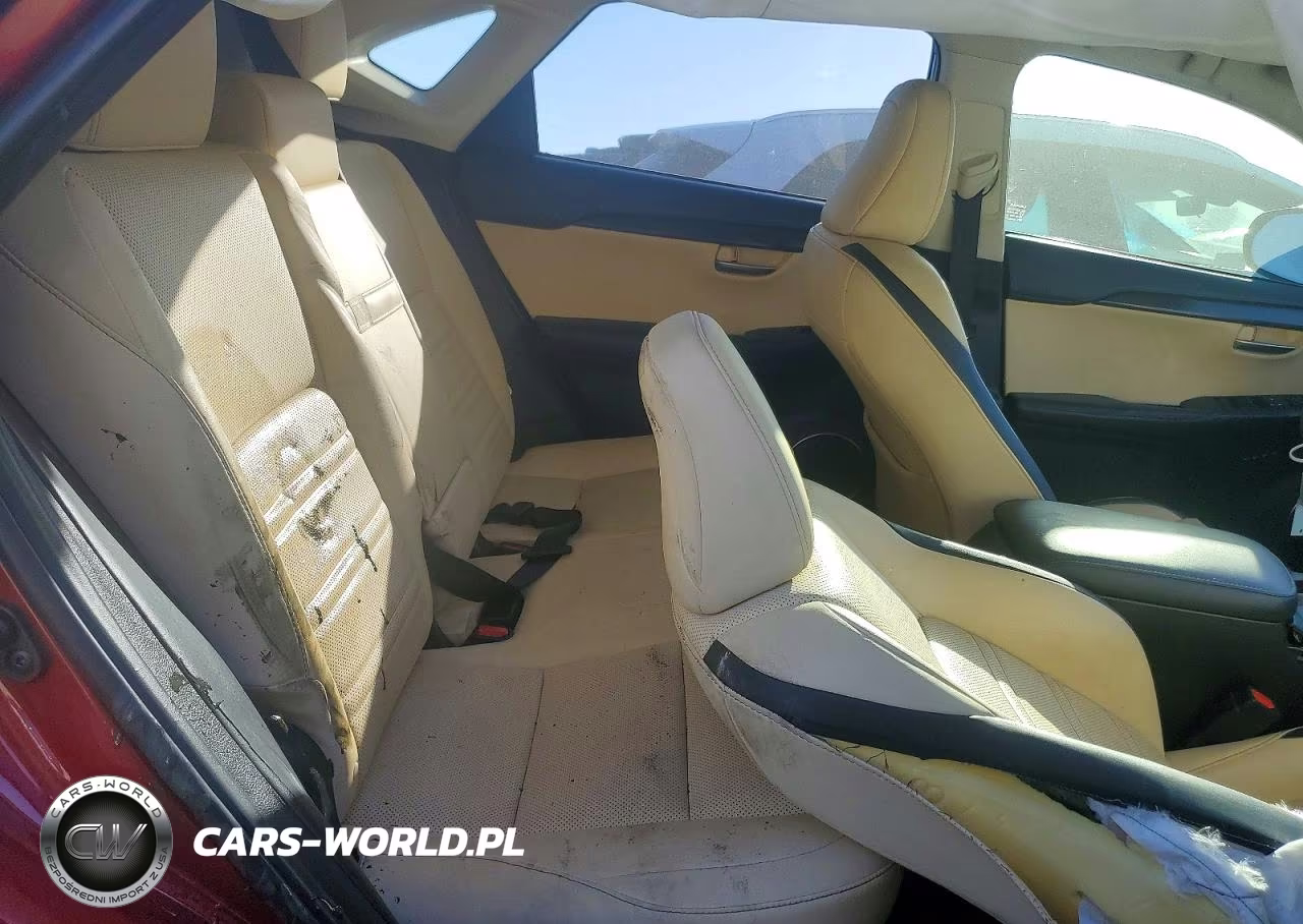 2016 Lexus Nx 200T Base VIN:JTJBARBZ5G2055447 - 10
